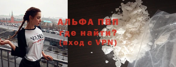 индика Елизово