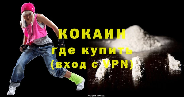 индика Елизово