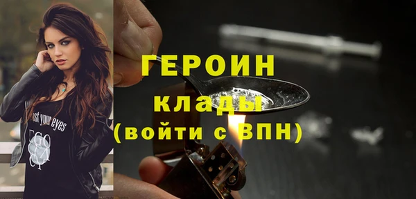 индика Елизово
