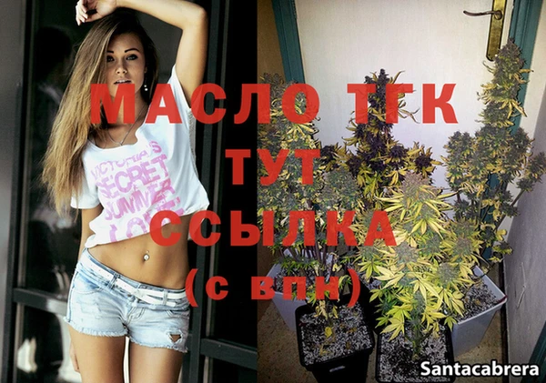 индика Елизово