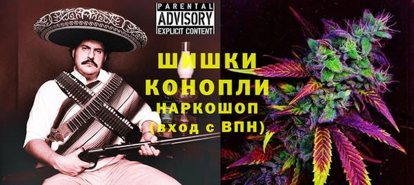 индика Елизово