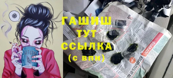 индика Елизово