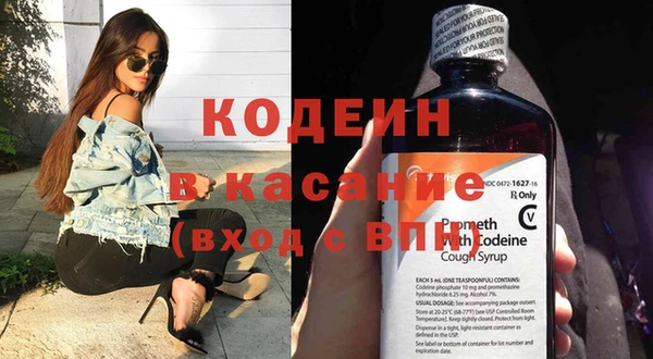 индика Елизово