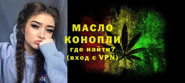 индика Елизово