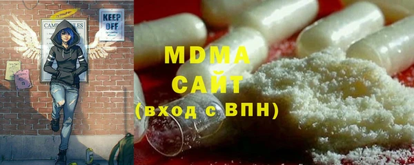 индика Елизово