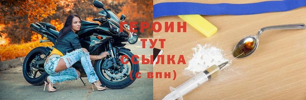 индика Елизово
