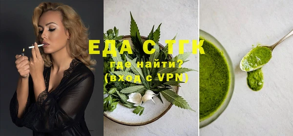 индика Елизово
