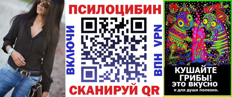 Купить закладки  Бикин  Псилоцибиновые грибы Psilocybine cubensis 